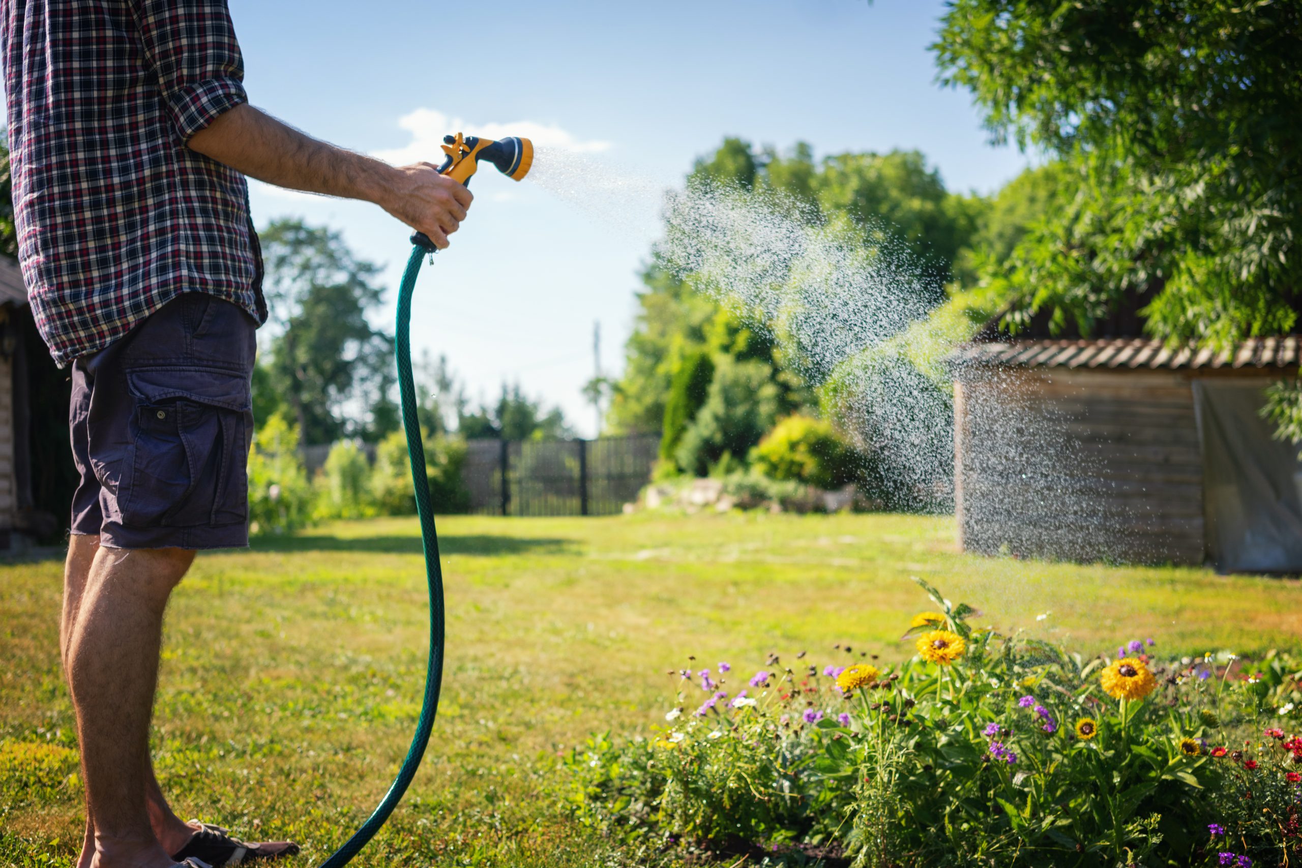 Man watering garden
