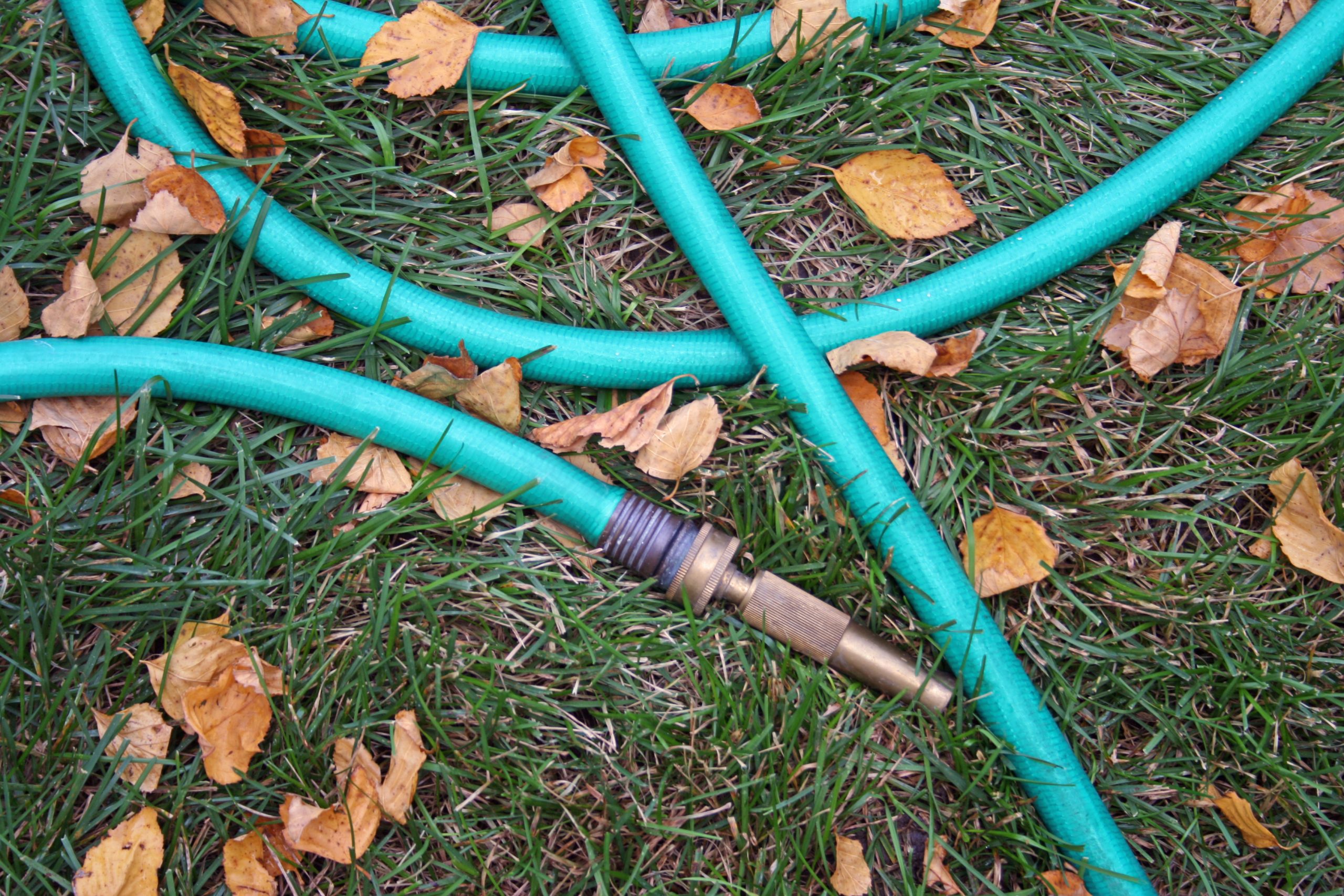 a garden hose surrounded by fall leaves